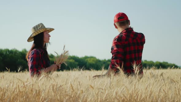 Farmers Talking in a Wheat Field Against Sunset alt