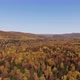 Aerial view of the autumn forest - VideoHive Item for Sale
