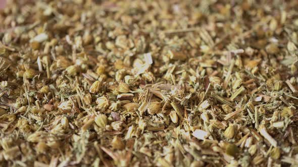 Rotation Medicinal Herbs Achillea Millefolium 2 alt