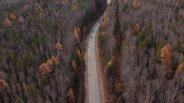 Panorama of autumn forest and road in Ural