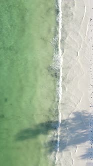 Tanzania  Vertical Video of the Ocean Near the Coast of Zanzibar Slow Motion alt
