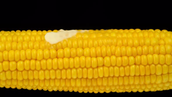 Butter slowly melting on hot corn cob, isolated on black background. 4K UHD video alt