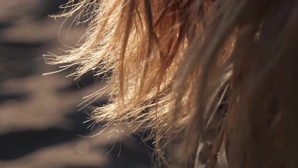 Woman's Blonde Hair Swaying From the Wind on the Beach During Sunset