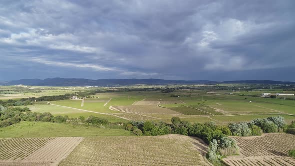 Aerial View of Vineyards in Penedes Catalonia Spain