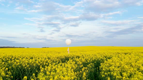 White Balloon In Blue Sky And Yellow Meadow