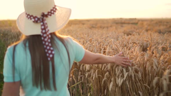 Woman in a Hat and a Blue Dress Walks Along a Wheat Field and Touches Ripe Spikelets of Wheat with alt