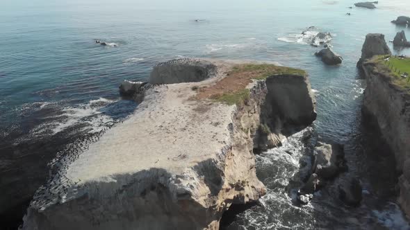 Drone Tilt Up Over Large Rocks in the Ocean Covered with Birds