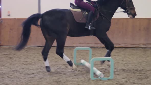 Girl riding her horse on hippodrome