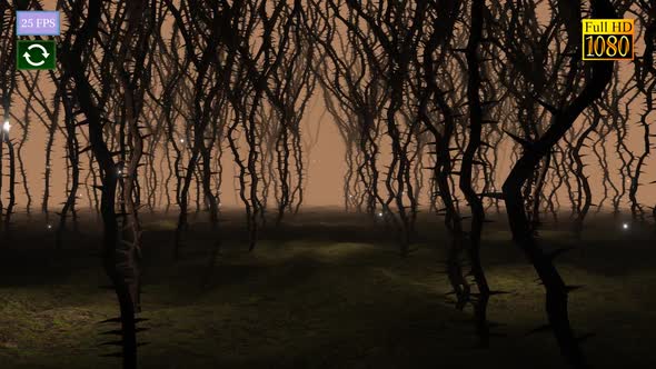 Thornes Forest A4 HD alt