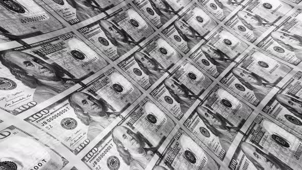 Black White Dollar Animated Background alt
