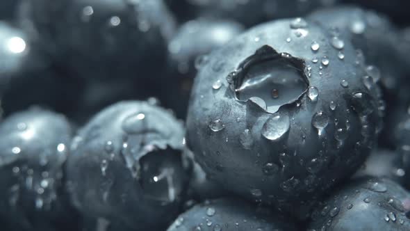 Closeup of Fresh Blueberry