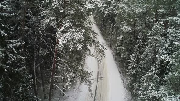 Aerial View of Winter Snowy Forest