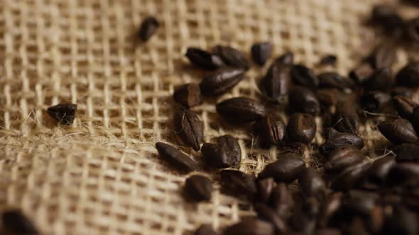Rotating shot of barley and other beer brewing ingredients - BEER BREWING  alt