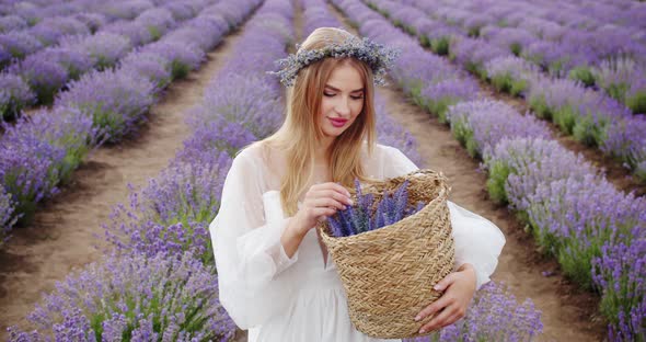 a Beautiful Girl in a Festive White Dress Walks with a Bouquet of Flowers Through a Lavender Field alt