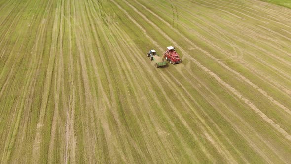 Farmer on a Self Propelled Picker Collecting Mowed Crushed Hay in the Back of a Tractor Trailer alt