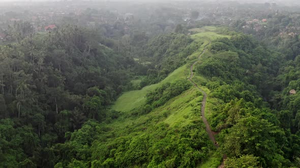 Aerial View Jungle, Rainforest In Mountains. Tropical Forest With Trail Artist Ubud , Trees, Green alt