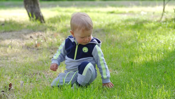 Small Boy in the Summer Park on the Grass 1 alt