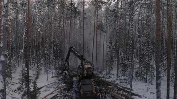 Drone view of Forest harvester in action in winter forest 18 alt