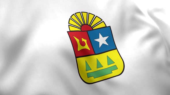 Quintana Roo Flag (Mexico) alt