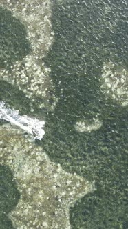 Vertical Video Kitesurfing Near the Shore of Zanzibar Tanzania alt