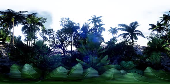 VR360 Camera Moving in a Tropical Jungle Rainforest alt