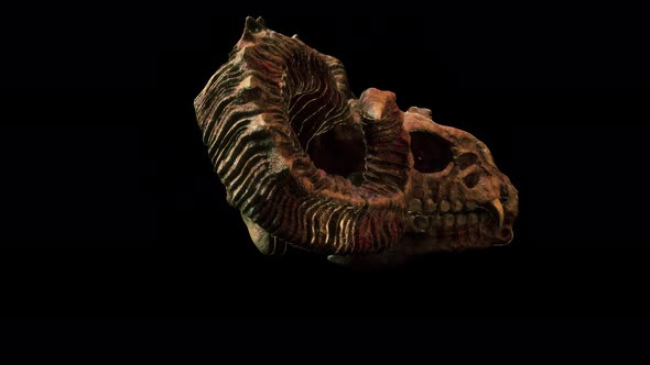 Scary Goat Skull VJ Loop alt