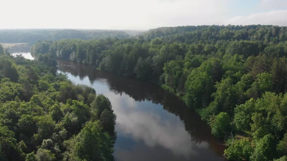 Landscape of Nature - the River Stretches Between the Green Coniferous Forest alt