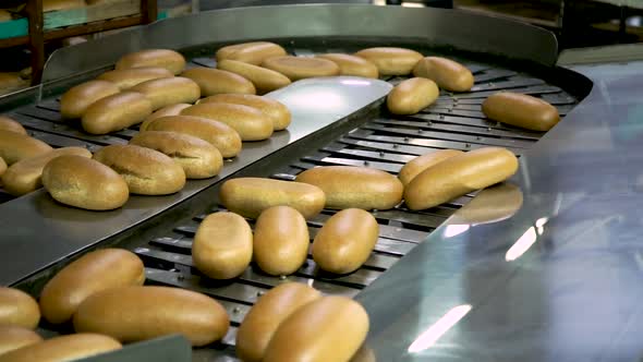 Loaves of Bread and Loaves of Bread on the Production Line in the Bakery alt