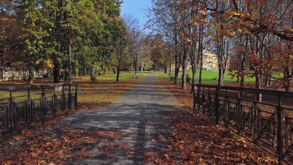 Flight Through Autumn Park