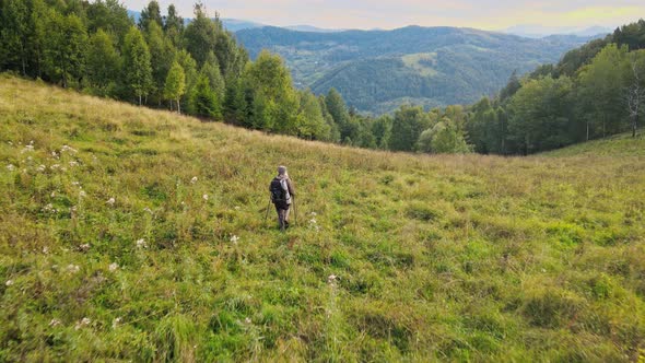 Aerial Fly Elderly Man with a Backpack and Sticks Walk Along the Mountain Trails alt