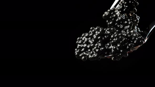 delicious black paddlefish caviar in metal spoon on black background alt