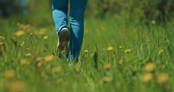Walk in Beautiful Field with Grass and Dandelion Closeup of Female Legs Rear View  Prores