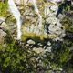 Aerial, A Waterfall In The Middle Of Rain Forest At Davies Creek In Queensland, North Australia - VideoHive Item for Sale