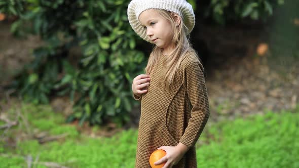 Adorable Little Girl Picking Fresh Ripe Oranges in Sunny Orange Tree Garden in Italy