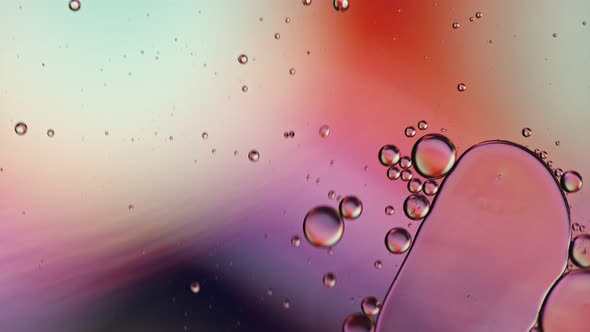 Abstract Colorful Food Oil Drops Bubbles 232 alt