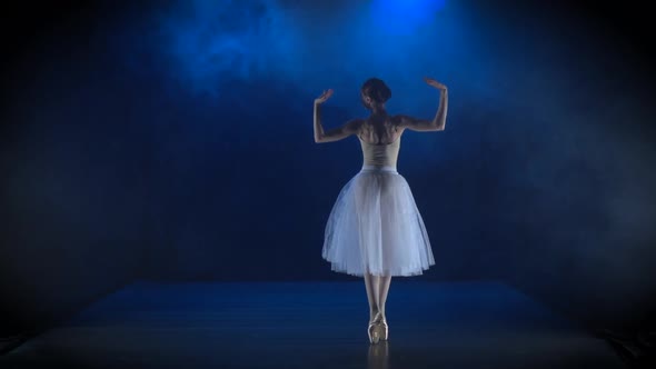 Dazzling Ballerina in White Tutu Performing Classical Ballet. Slow Motion. alt