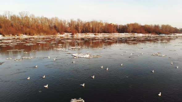 Sunset over the Vistula River alt