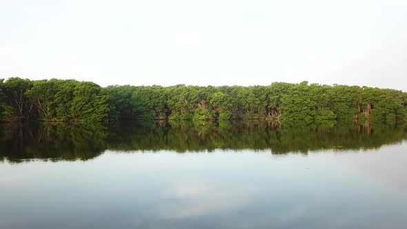 Beautiful low flying drone shot over an exotic river and forest in South America alt