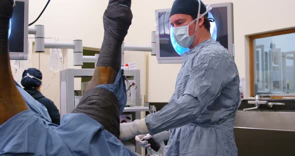 Surgeon operating a horse in operation theater 4k