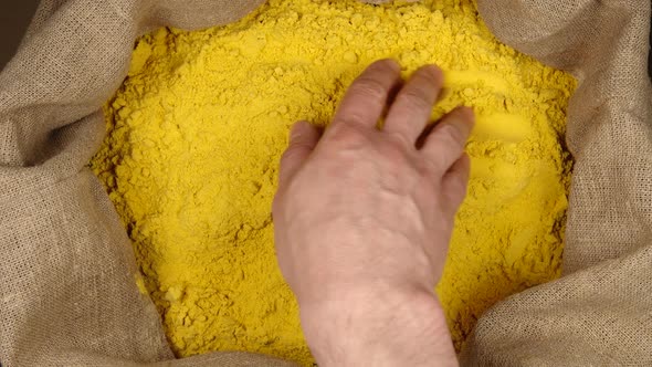 Human hand touching a turmeric (curcuma) powder in a sac