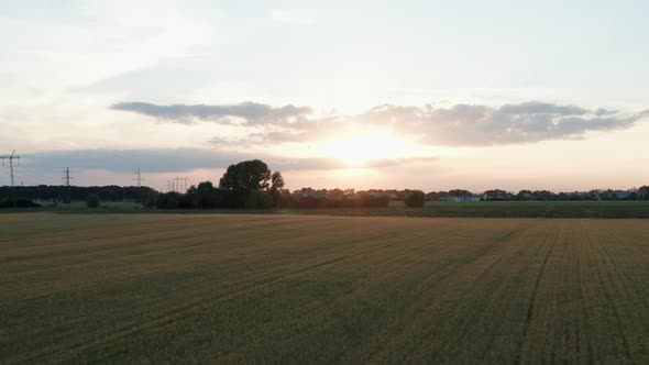 Wheat Sunset 