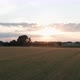 Wheat Sunset  - VideoHive Item for Sale