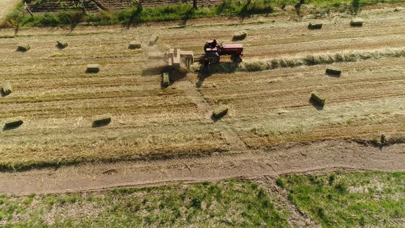 Agricultural Tractor Collecting Hay Into Square Bales on the Field alt