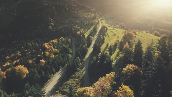 Colorful Hill Forest Country Road Aerial View alt