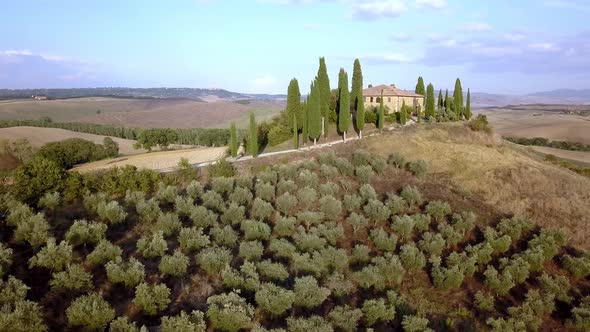 Traditional Italian villa on top of a hill with olive trees in the Tuscan countryside, Aerial drone alt