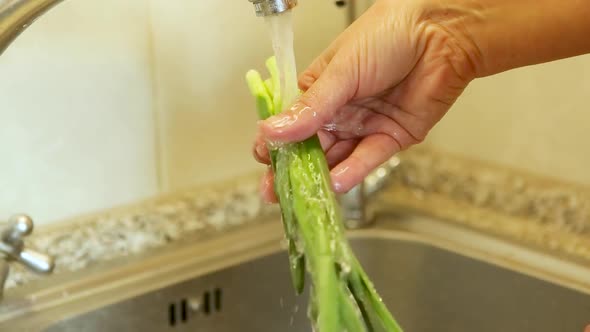 Cooking salad at home.