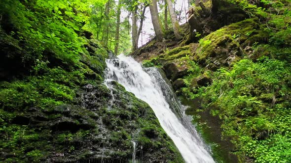 Mountain River Waterfall Flowing Between Rocky Shores in Carpathians Mountains Ukraine alt