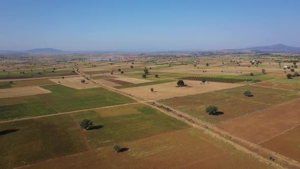 Aerial shot of fields