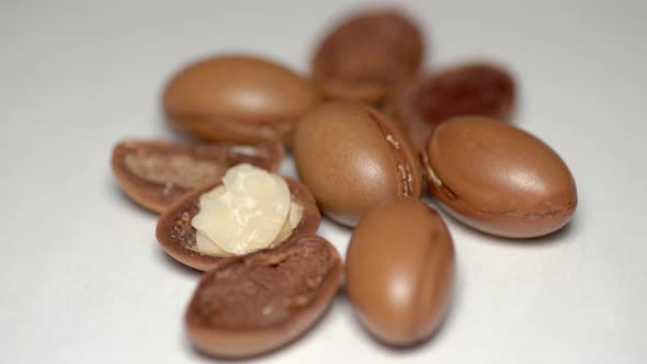 Argan Seeds on a White Background alt