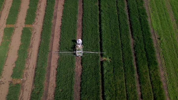 Slow Motion Aerial Shot of Unrecognizable Man in White Protective Suit Throwing Chemicals to Wheat alt